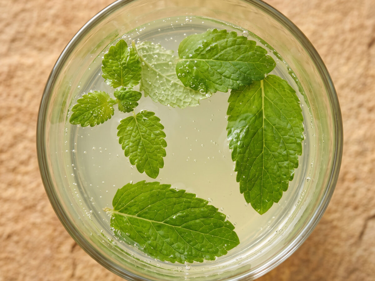 Kräuterlimonade mit Minze und Zitronenmelisse